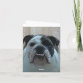 De Engelse buldog dankt u nota neemt van kaarten! Bedankkaart (Achterkant)