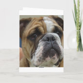 De Engelse kaart van de buldog grappige gelukkige (Achterkant)