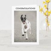 De Engelse Kaart van de Gelukwensen van de Wijzer (Gele Bloem)