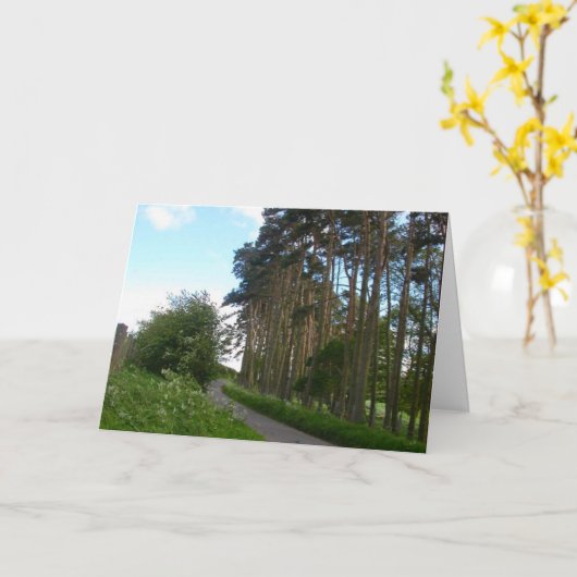 De Engelse Kaart van de Kant van de weg en van de (Gele Bloem)