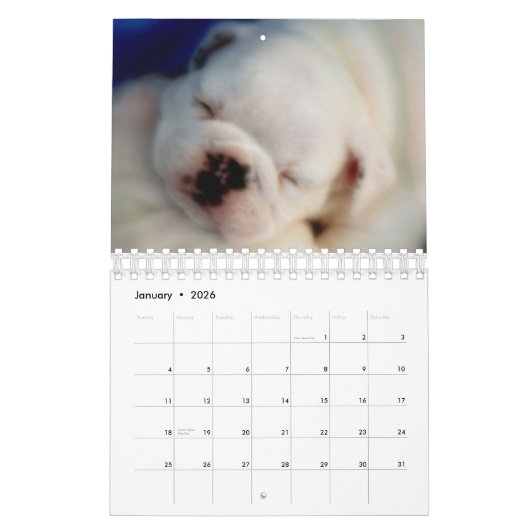 De Engelse Kalender van het "puppy" 2015 van de (Jan 2026)