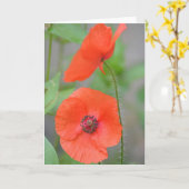 De Engelse Papavers van het Gebied Kaart (Gele Bloem)