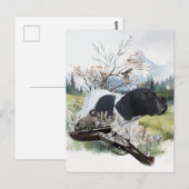 De Engelse Pointer Briefkaart (Voorkant / Achterkant)