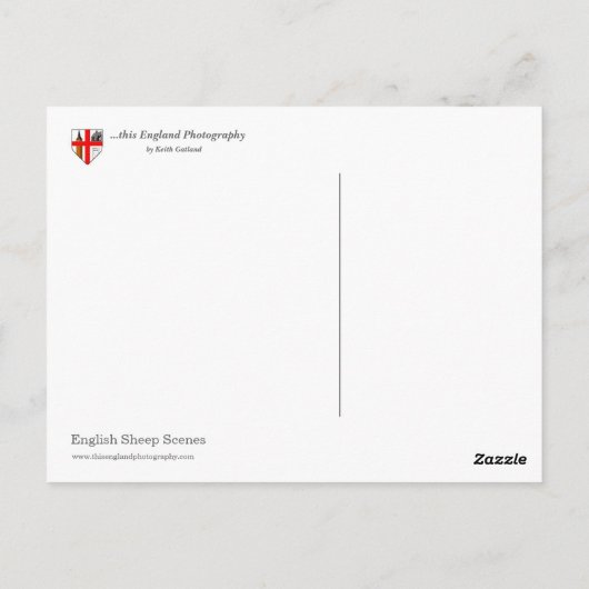 De Engelse Scènes van Schapen Briefkaart (Achterkant)