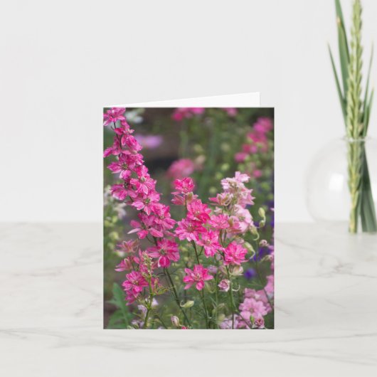 De Engelse Tuin van de Zomer Bedankkaart (Voorkant)