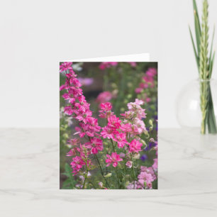 De Engelse Tuin van de Zomer Bedankkaart