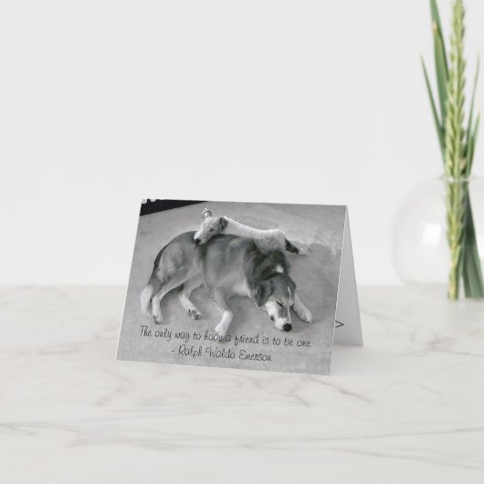 De enige Manier om een Vriend te hebben is een Kaart (Voorkant)