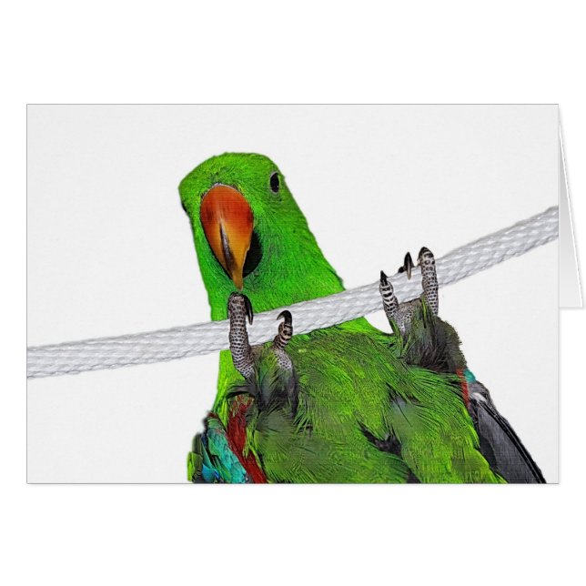 De entertainer (Voorkant Horizontaal)