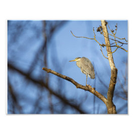 De erfenis in de winter foto afdruk