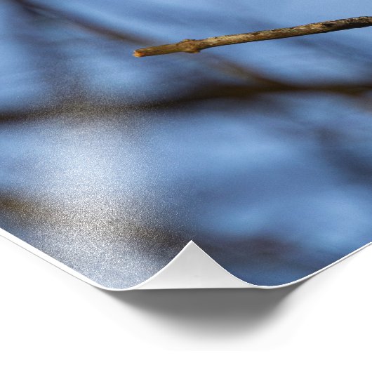 De erfenis in de winter foto afdruk (Hoek)