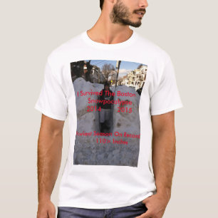 De ergste sneeuw in Boston T-Shirt