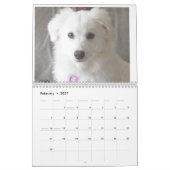 De ERU 2014-kalender Kalender (Feb 2027)