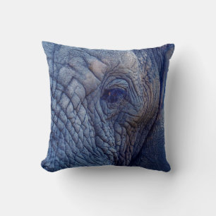 DE ERVARING GAAT MET DE ELEPHANTS OVER HUGGI KUSSEN