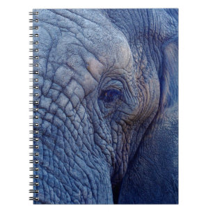 DE ERVARING GAAT MET DE ELEPHANTS OVER HUGGI NOTITIEBOEK