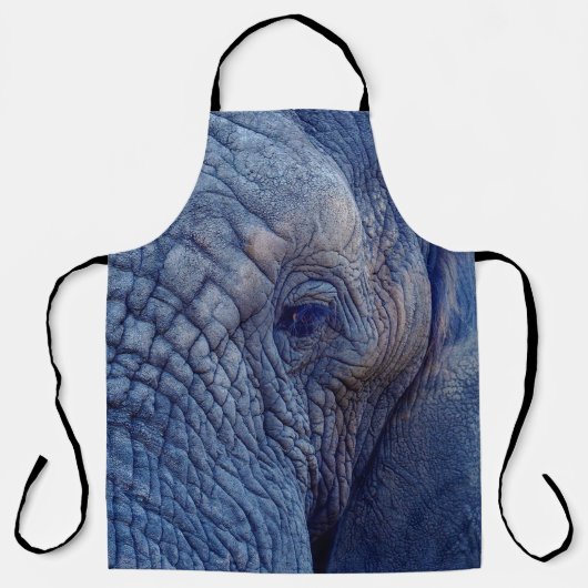 DE ERVARING GAAT MET DE ELEPHANTS OVER HUGGI SCHORT (Voorkant)