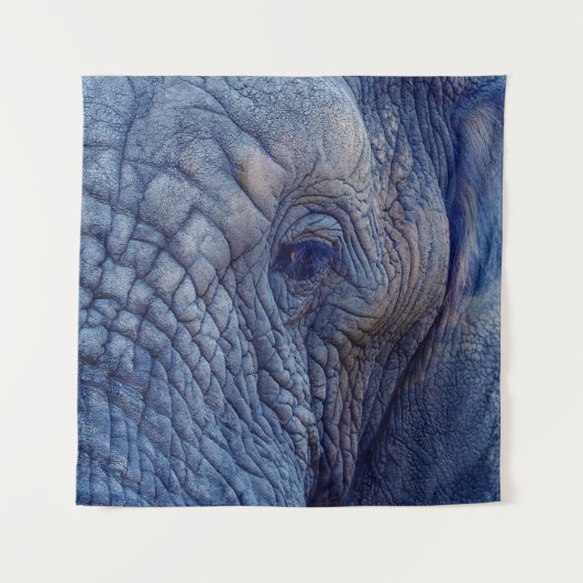 DE ERVARING GAAT MET DE ELEPHANTS OVER HUGGI WANDKLEED (Voorkant)