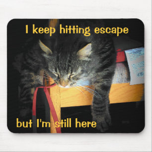 De Escape Button werkt niet met Sad Cat Muismat