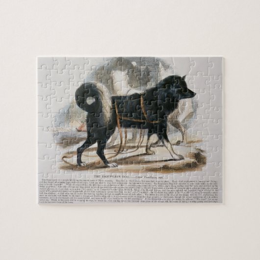 De Esquimaux Dog (Canis familiaris) Legpuzzel (Horizontaal)