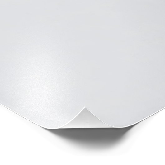 De essentie van de Leeuw Foto Afdruk (Hoek)