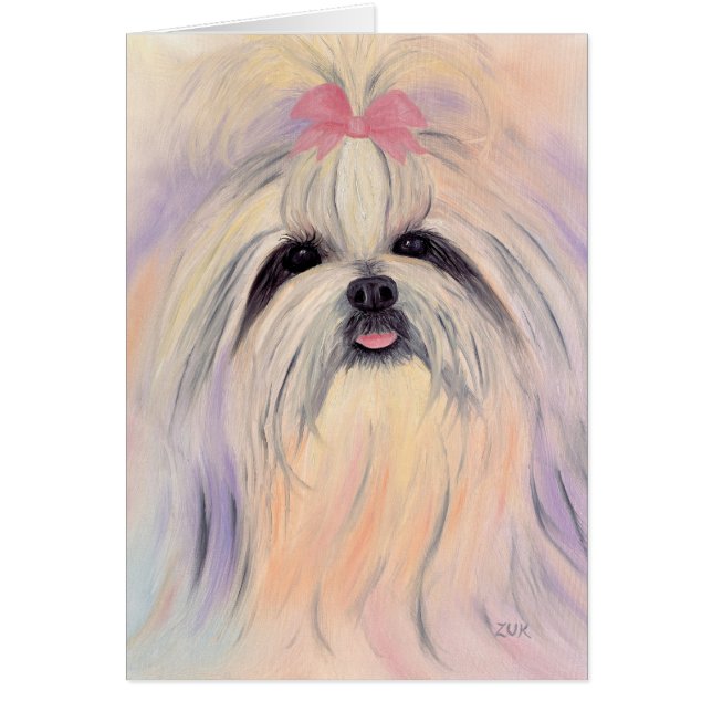 De Essentie van Shitzu (Voorkant)