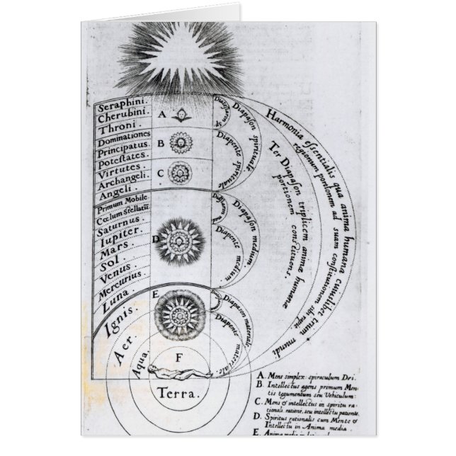 De essentiële harmonie (Voorkant)