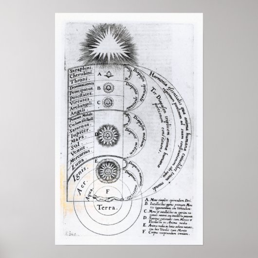 De essentiële harmonie poster (Voorkant)