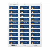 De Etiketten van het Adres van de Terugkeer van Be (Full Sheet)
