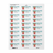 De Etiketten van het Adres van de Terugkeer van Be (Full Sheet)