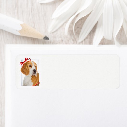 De Etiketten van het Adres van de Terugkeer van Be (Insitu)