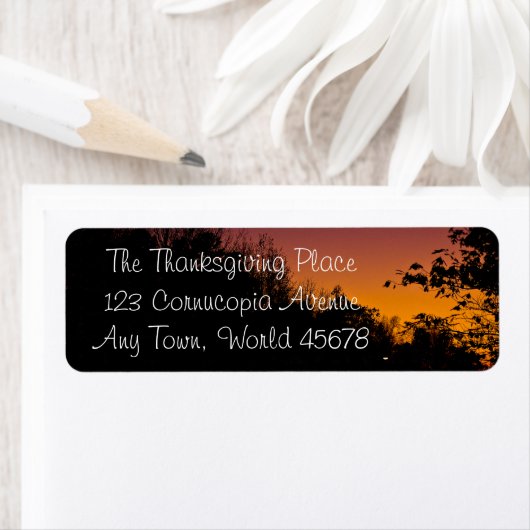 De Etiketten van het Adres van de Terugkeer van de (Insitu)