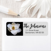 De etiketten van het Adres van de Terugkeer van Ma (Insitu)