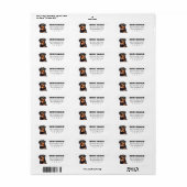 De Etiketten van het Adres van de Terugkeer van Ro (Full Sheet)