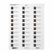 De Etiketten van het Adres van de Terugkeer van Ro (Full Sheet)