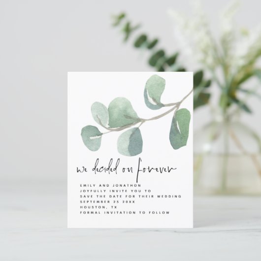 De Eucalyptus van de begroting besloot op altijd s (Staand voorkant)