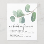 De Eucalyptus van de begroting besloot op altijd s (Voorkant)