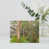 De Eucalyptus van de regenboog. Maui, Hawaï Briefkaart (Staand voorkant)