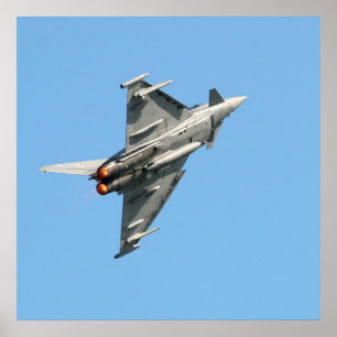 De Eurofighter Typhoon 24 x 24 inch Poster