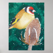 De Europese Goldfinch Poster (Voorkant)