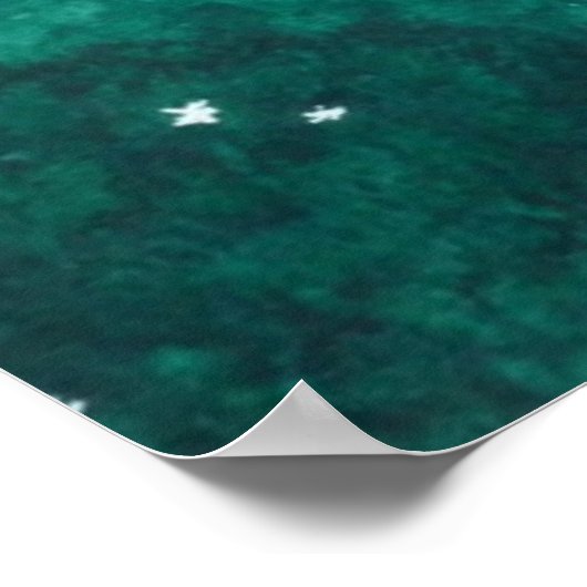 De Europese Goldfinch Poster (Hoek)