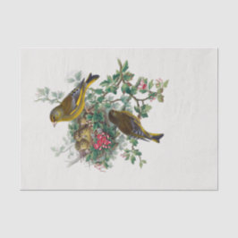 De Europese groene ontkoppeling Tissuepapier