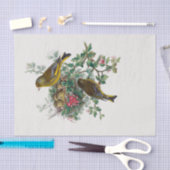 De Europese groene ontkoppeling Tissuepapier (Craft)