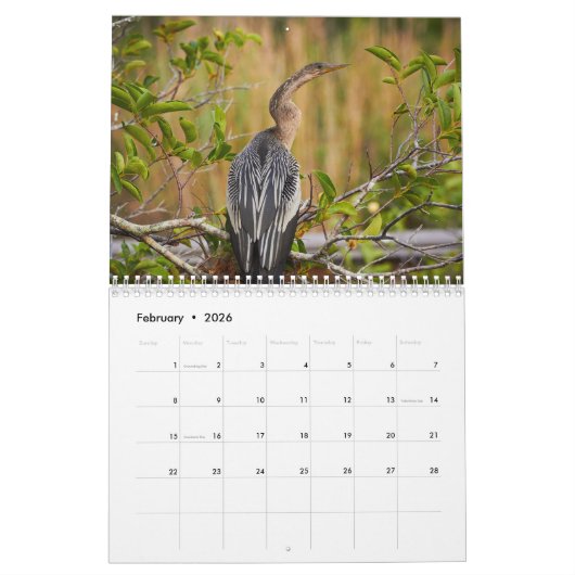 De Everglades Kalender (Feb 2026)