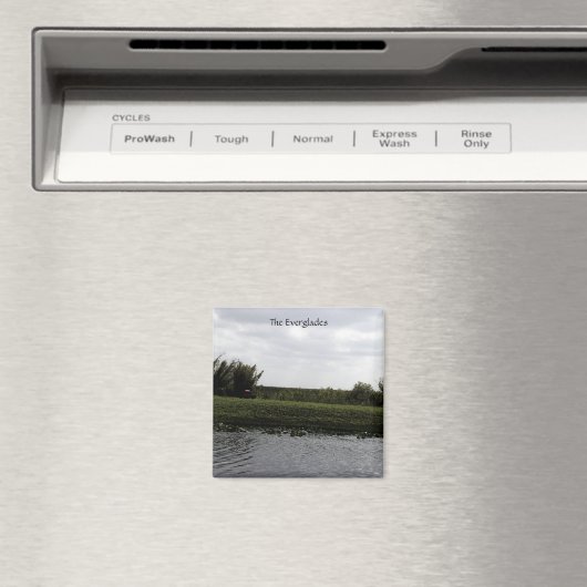 De Everglades Waterverf Magneet (Insitu (Vaatwasser))