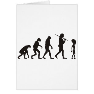 De evolutie van de vreemdeling