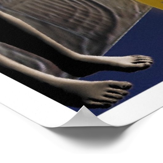 De evolutieroute poster (Hoek)