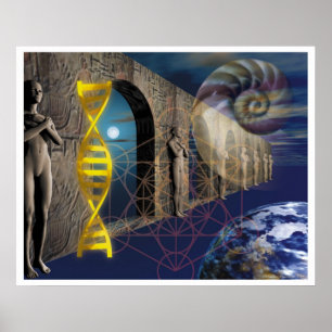 De evolutieroute poster