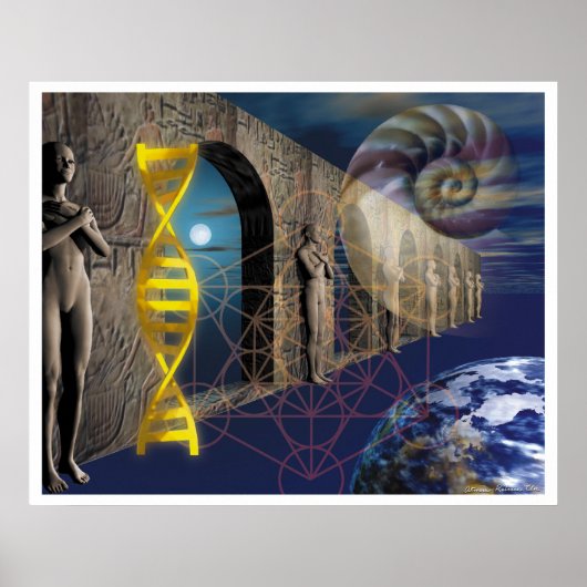 De evolutieroute poster (Voorkant)