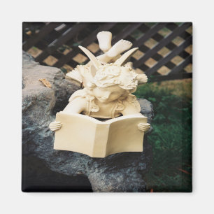 De Faerie lezen bij een Koi vijver..... Magneet