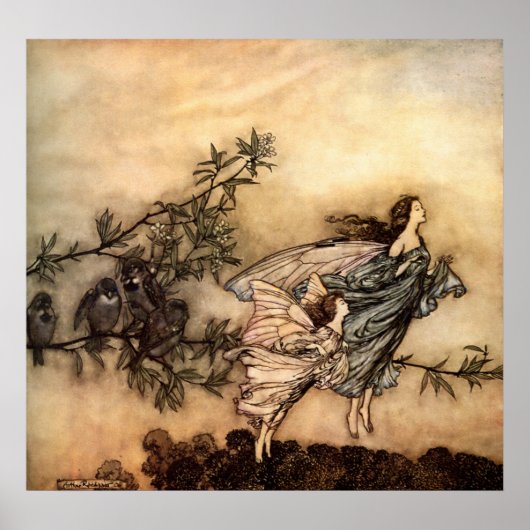 De fairies hebben hun tieten met de vogels poster (Voorkant)