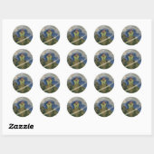 De Fairies-Sticker Ronde Sticker (Vel)